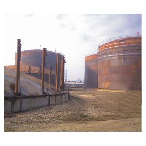 黄瓜视频污版 黄瓜视频污版